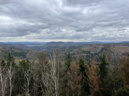 Leupoldishain - Labyrinthwächter - Panoramablick Bernhardstein