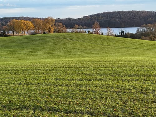 Dieksee Rundweg