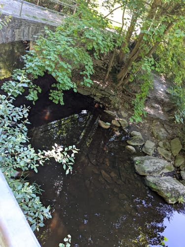 Im Schwarzwassertal