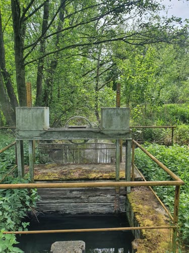 An den Teichen beim Bautzener Stausee
