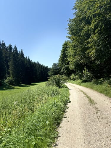 Sontheim - Eistalweg - Tiefental - Sontheimer Höhle