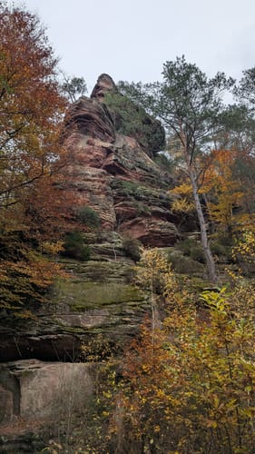 Dahner Felsenpfad (Premiumwanderweg)