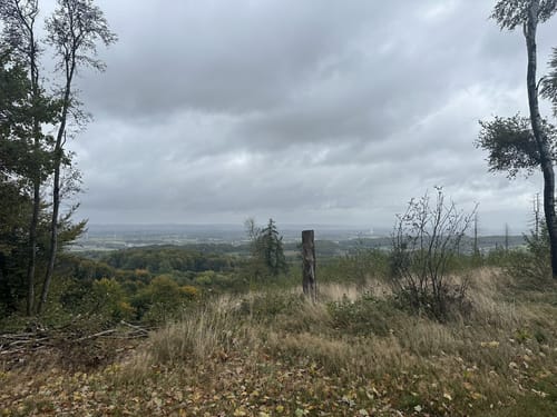 Hermannsweg Etappe 7: Oerlinghausen - Detmold