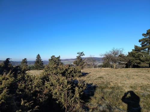Langscheid: Wacholderwanderweg