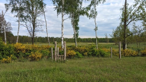 Döberitzer Heide Rundweg