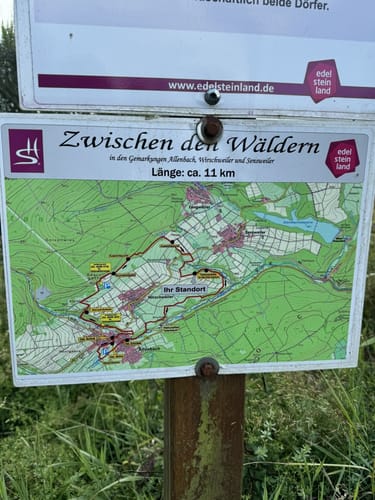 Zwischen den Wäldern (Traumschleife)