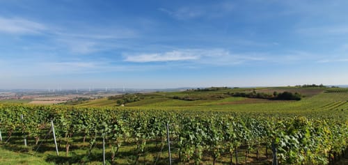 Heideblick (Hiwweltour)