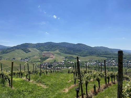 Von Rammersweier über den Schlossberg