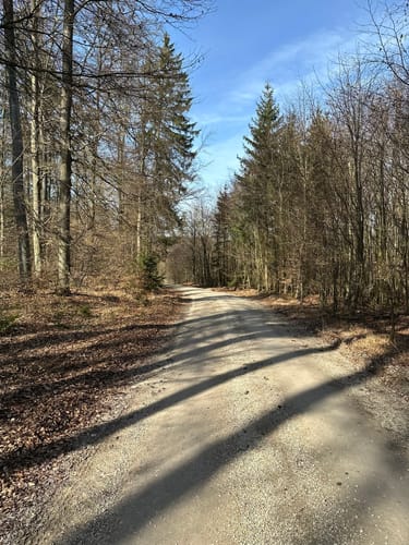Wanderweg 7: Lohgrundweg