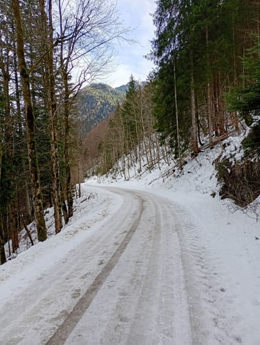 Bergwalderlebnispfad ins Röthelmoos