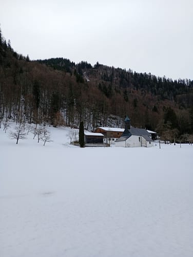 Bergwalderlebnispfad ins Röthelmoos