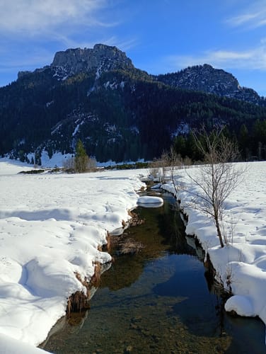 Bergwalderlebnispfad ins Röthelmoos