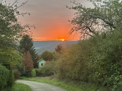 Von Obertürkheim über die Weinberge