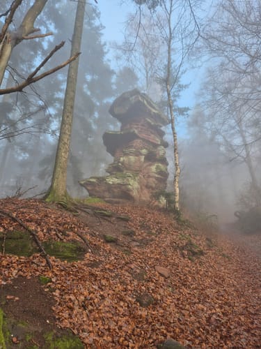 Fleckenstein - Loewenstein - Hohenbourg - Schlossberg