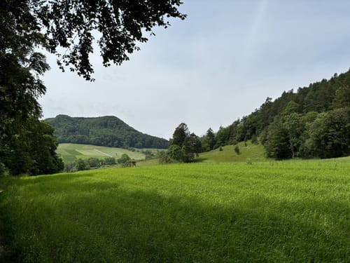 Dreifürstensteig (Premiumwanderweg)