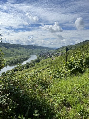 Reil zum Prinzenkopfturm