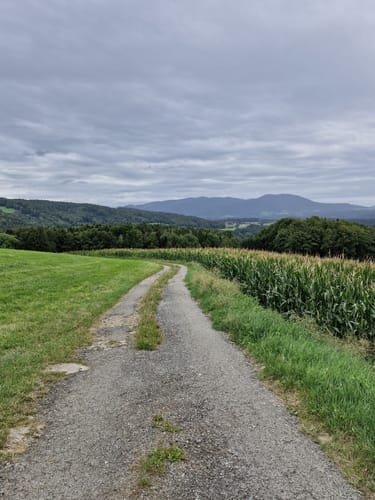 Muckenthal: Feuersalamander-Tour