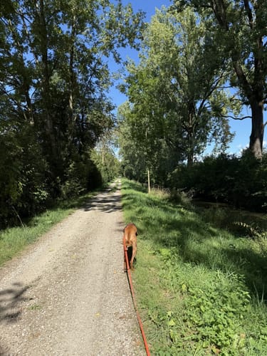 An der Isar zwischen Garching und Ismaning
