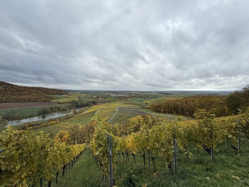 Rundwanderweg Waldläufer ab Handthal