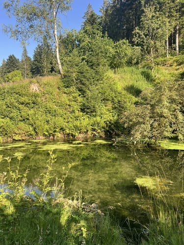 Von Lauterbad durchs Lautertal