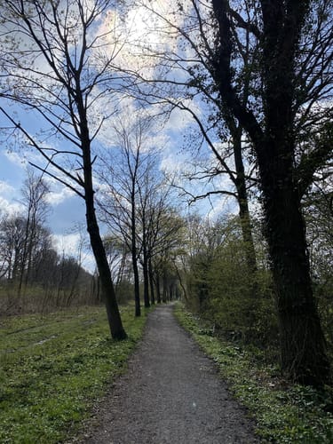 Rundweg ab Altenberge