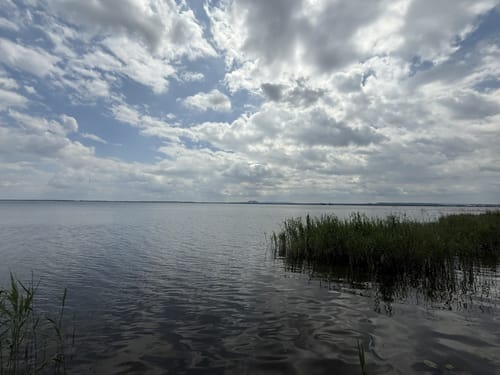 Steinhuder Meer Rundweg