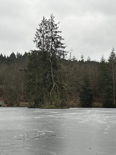 Rund um Ruitzof [CLOSED]