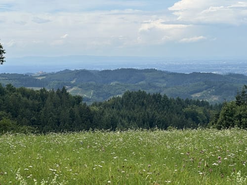 Von Lautenbach zur Ruine Bärenburg