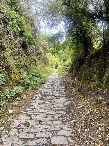 Rhein-Wisper-Glück (Premiumwanderweg)