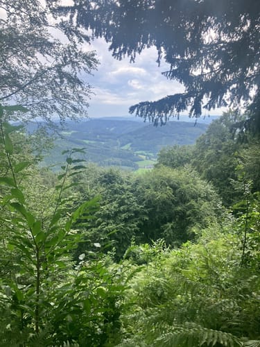 Lahr zum Pionierstein