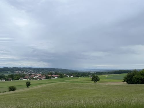 Dellinger Buchet und östlicher Wörthsee