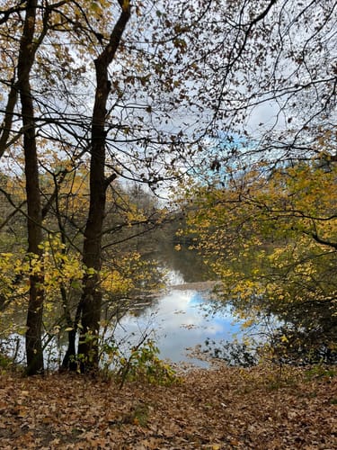 Hünenweg Etappe 9: Haselünne - Meppen