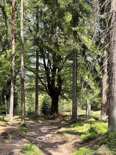 Luisenburg - Haberstein -Felsenlabyrinth
