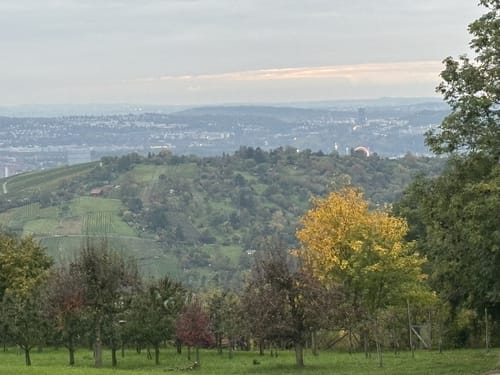 Von Obertürkheim über die Weinberge