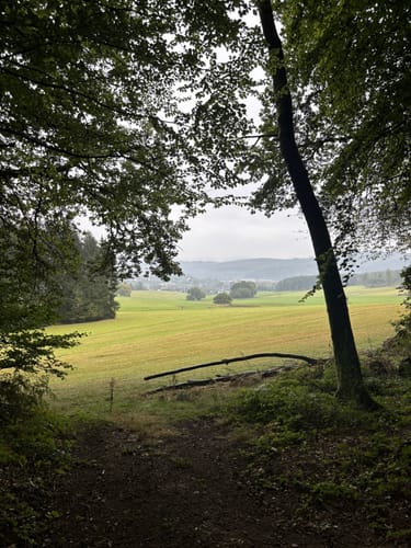 Kindelsbergpfad (Kreuztal, Kredenbach)