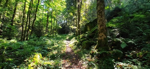 Gernsbacher Runde - Etappe 1: Gernsbach - Hilpertsau