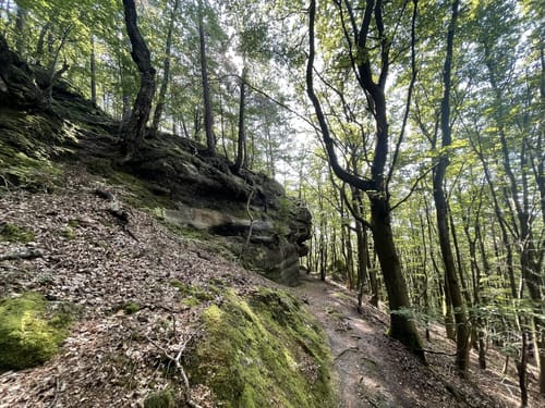 Burgruine Lemberg