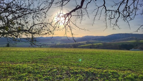 Durch den Odenwald über Etzen-Gesäß und Hassenroth