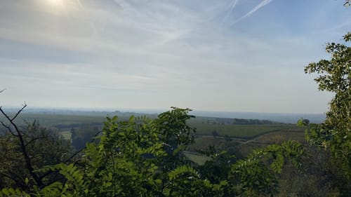 Pfälzer Hüttentour (Premiumwanderweg)
