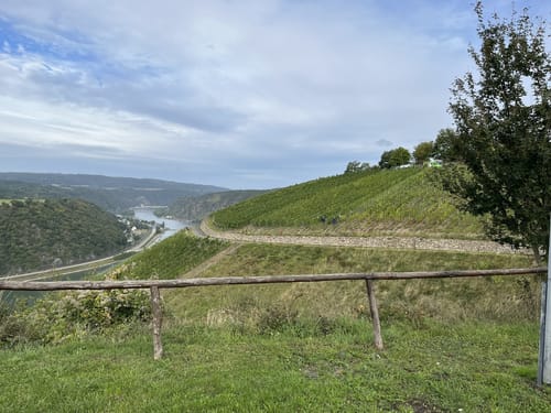Rheinsteig: Kamp Bornhofen - Kestert - St. Goarshausen