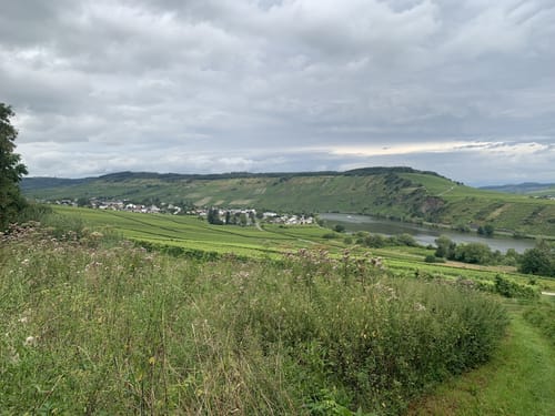 Seitensprung Mehringer Schweiz