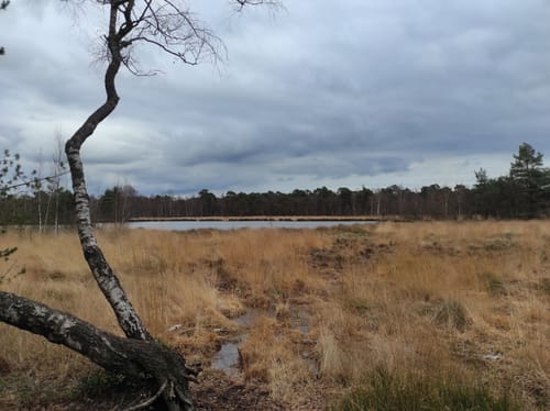 Durchs Venner Moor und am Dortmund-Ems-Kanal