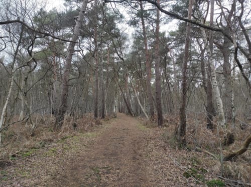 Durchs Venner Moor und am Dortmund-Ems-Kanal