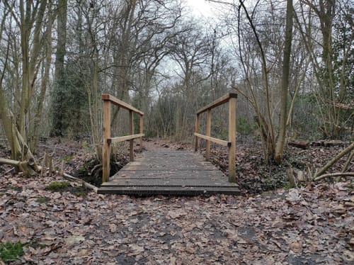 Durchs Venner Moor und am Dortmund-Ems-Kanal