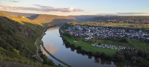 Moselsteig Etappe 14: Reil - Zell (Mosel)