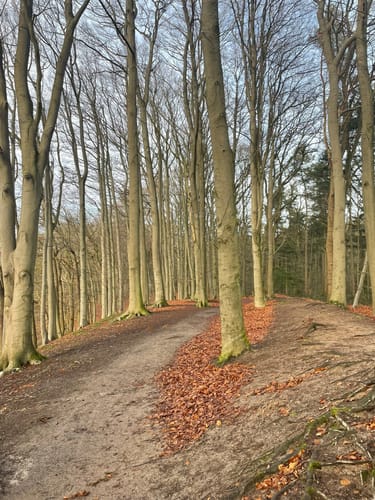 Auf dem Huntepadd zur Glaner Braut