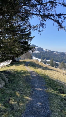 Himmelsstürmer-Route Etappe 11: Bühl am Alpsee/ Immenstadt - Oberstaufen