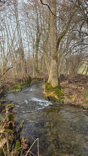 Wegenstetten - Zeiningen