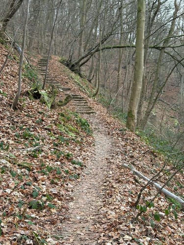 Obermaubach: Stauseerundweg
