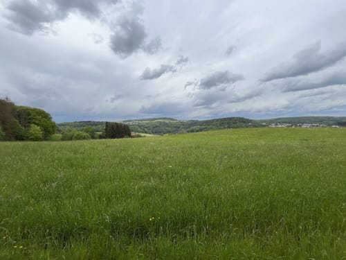 Vom Leukbachtal auf den Kruterberg